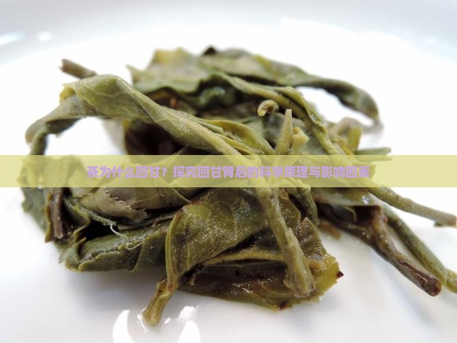 茶为什么回甘？探究回甘背后的科学原理与影响因素