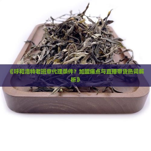 《呼和浩特老班章代理条件？加盟痛点与直播带货热词解析》