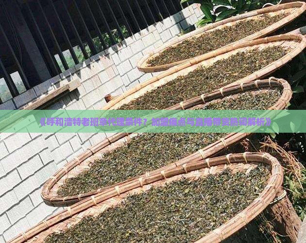 《呼和浩特老班章代理条件？加盟痛点与直播带货热词解析》