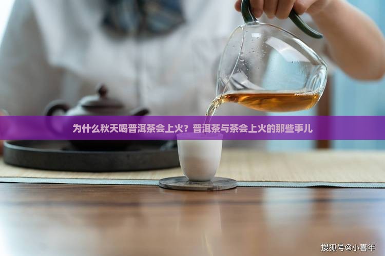 为什么秋天喝普洱茶会上火？普洱茶与茶会上火的那些事儿