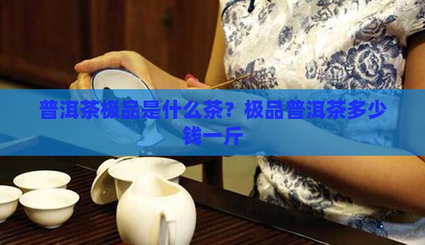 普洱茶极品是什么茶？极品普洱茶多少钱一斤