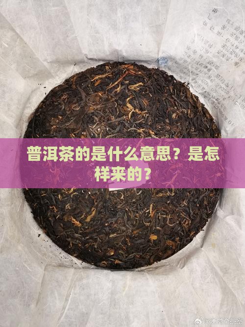 普洱茶的是什么意思？是怎样来的？