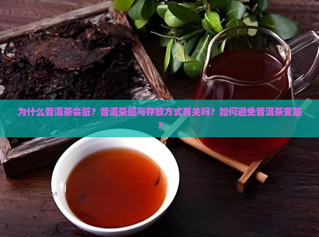 为什么普洱茶会脏？普洱茶脏与存放方式有关吗？如何避免普洱茶变脏？