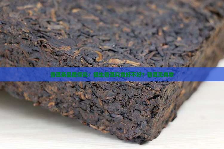 普洱茶品质探究：银生普洱究竟好不好？普洱见真章