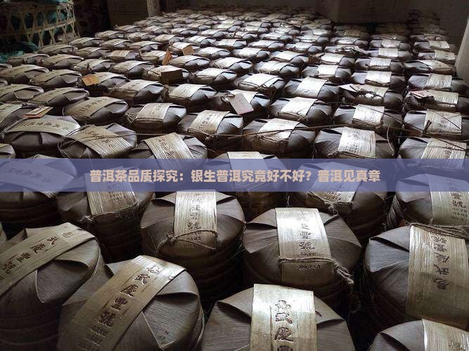 普洱茶品质探究：银生普洱究竟好不好？普洱见真章
