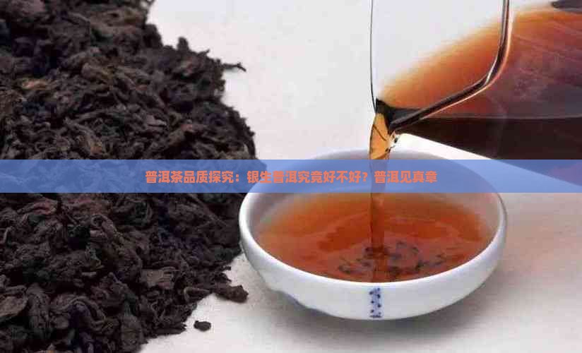 普洱茶品质探究：银生普洱究竟好不好？普洱见真章