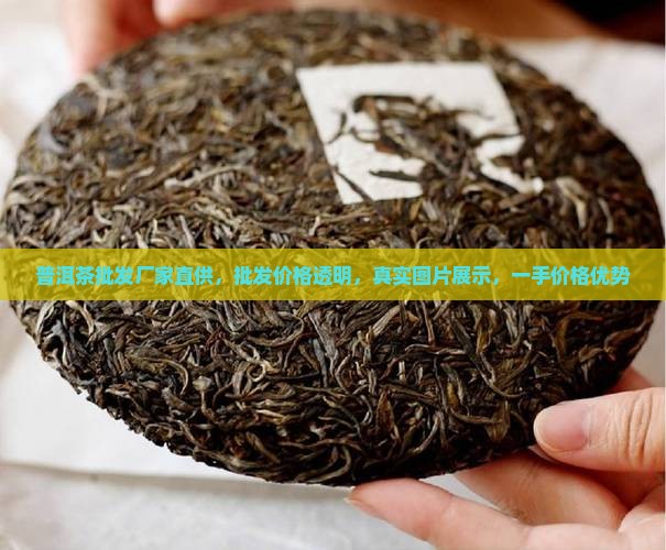 普洱茶批发厂家直供，批发价格透明，真实图片展示，一手价格优势
