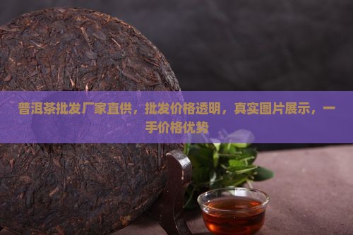 普洱茶批发厂家直供，批发价格透明，真实图片展示，一手价格优势