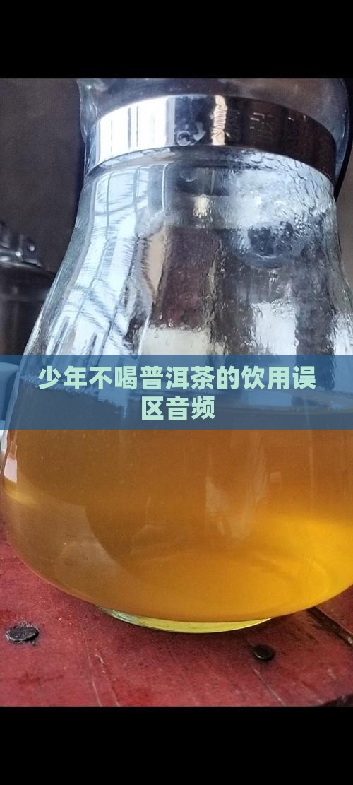 少年不喝普洱茶的饮用误区音频