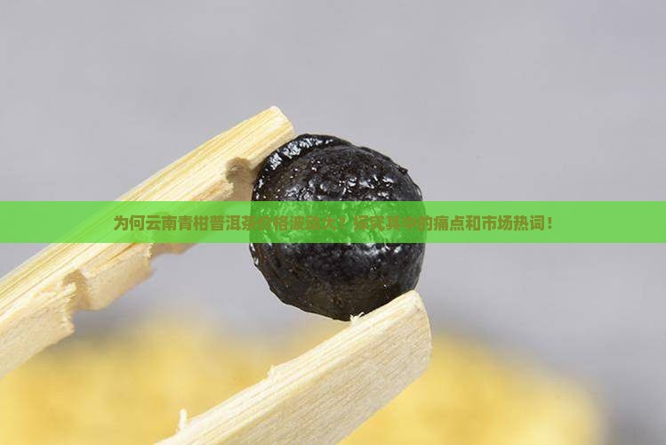 为何云南青柑普洱茶价格波动大？探究其中的痛点和市场热词！