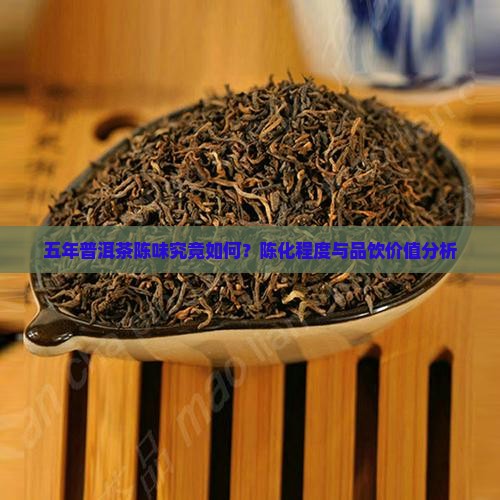五年普洱茶陈味究竟如何？陈化程度与品饮价值分析