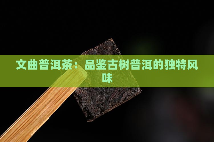 文曲普洱茶：品鉴古树普洱的独特风味