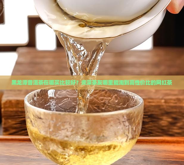 黑龙潭普洱茶在哪买比较好？资深茶友哪里能淘到高性价比的网红茶