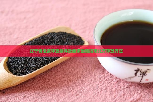 辽宁普洱茶存放条件及要求最新指南北方存放方法