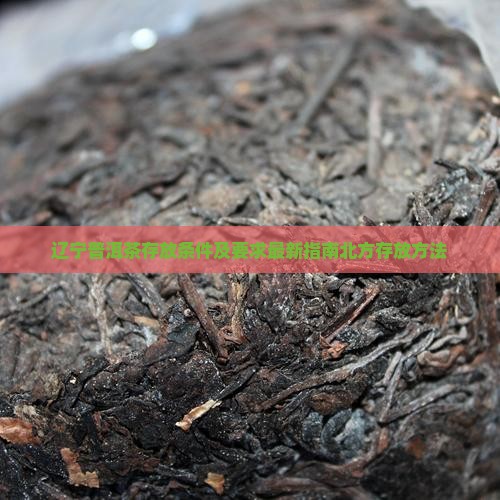 辽宁普洱茶存放条件及要求最新指南北方存放方法