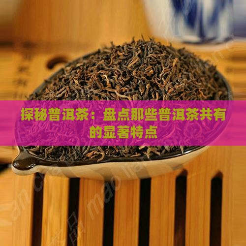 探秘普洱茶：盘点那些普洱茶共有的显著特点