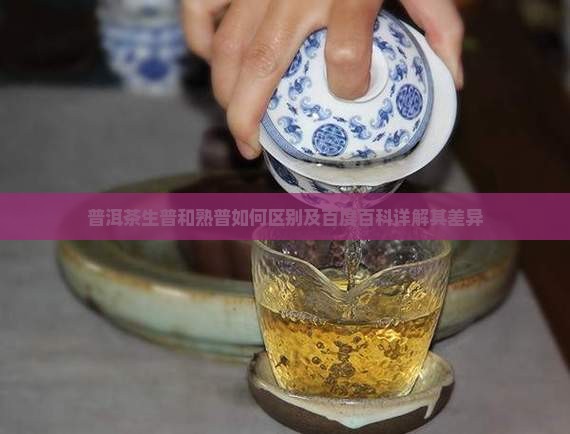 普洱茶生普和熟普如何区别及百度百科详解其差异