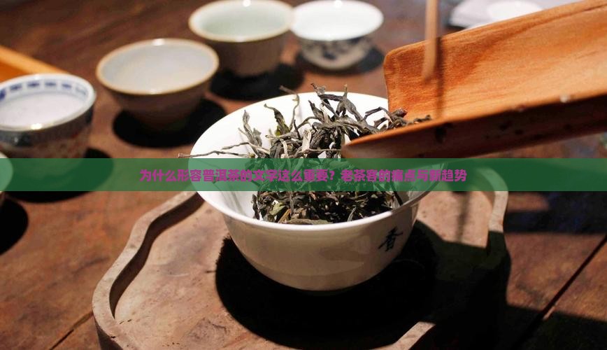 为什么形容普洱茶的文字这么重要？老茶客的痛点与新趋势