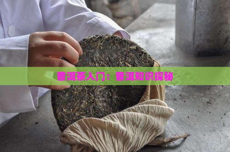 普洱茶入门：普洱知识探秘