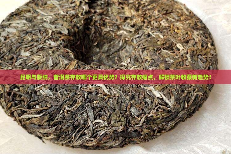昆明与版纳，普洱茶存放哪个更具优势？探究存放痛点，解锁茶叶收藏新趋势！