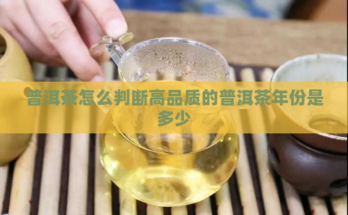 普洱茶怎么判断高品质的普洱茶年份是多少