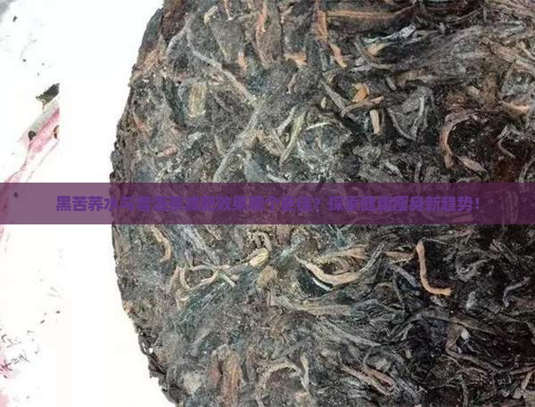 黑苦荞水与普洱茶减肥效果哪个更佳？探索健康瘦身新趋势！