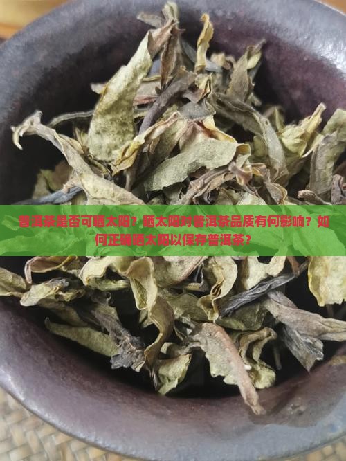 普洱茶是否可晒太阳？晒太阳对普洱茶品质有何影响？如何正确晒太阳以保存普洱茶？