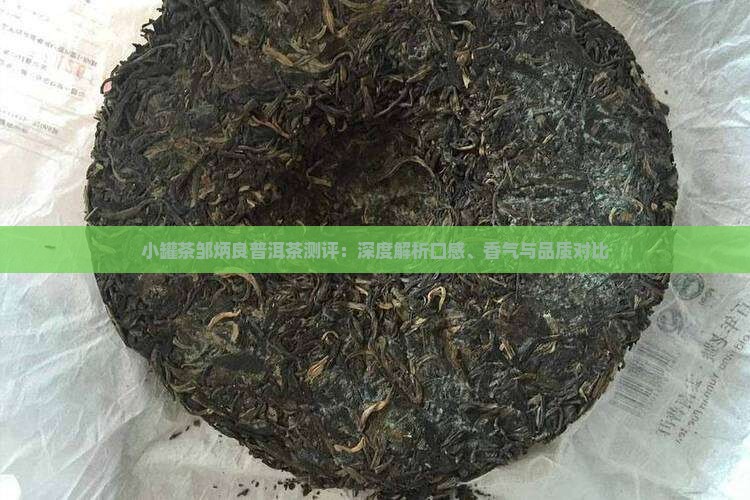 小罐茶邹炳良普洱茶测评：深度解析口感、香气与品质对比