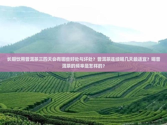 长期饮用普洱茶三四天会有哪些好处与坏处？普洱茶连续喝几天最适宜？喝普洱茶的频率是怎样的？
