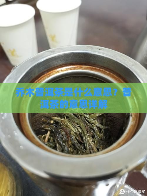 乔木普洱茶是什么意思？普洱茶的意思详解
