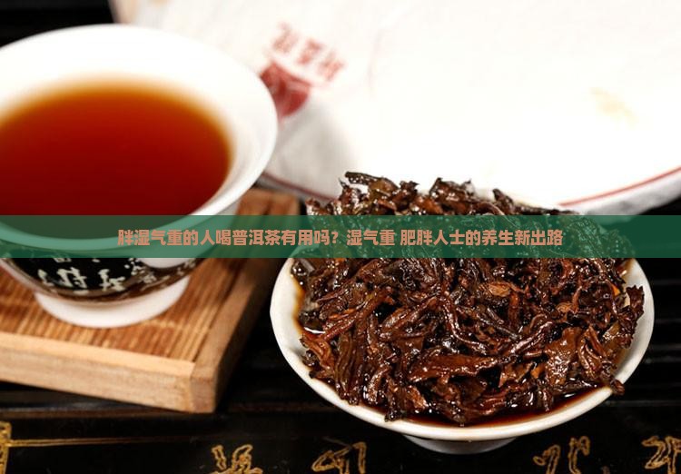 胖湿气重的人喝普洱茶有用吗？湿气重+肥胖人士的养生新出路
