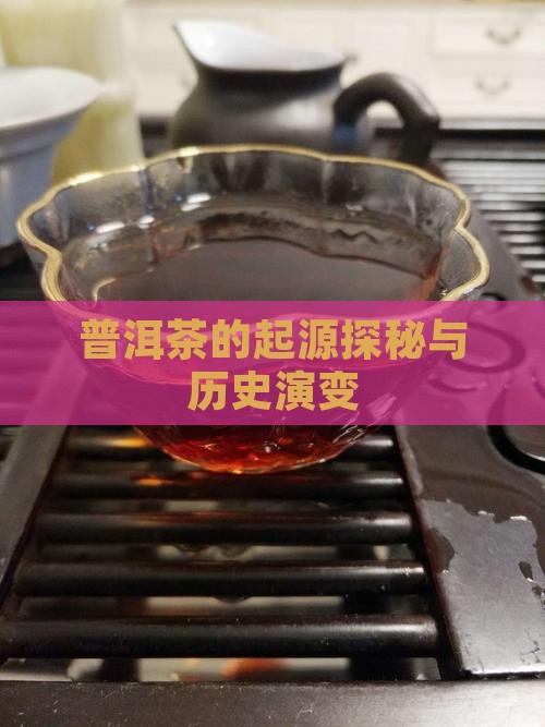 普洱茶的起源探秘与历史演变