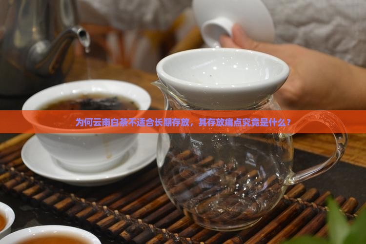 为何云南白茶不适合长期存放，其存放痛点究竟是什么？