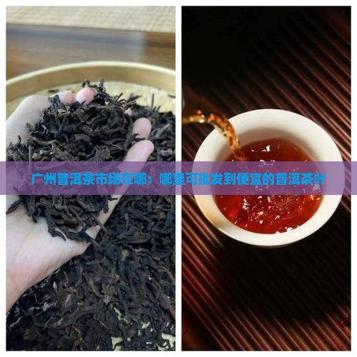 广州普洱茶市场在哪：哪里可批发到便宜的普洱茶叶
