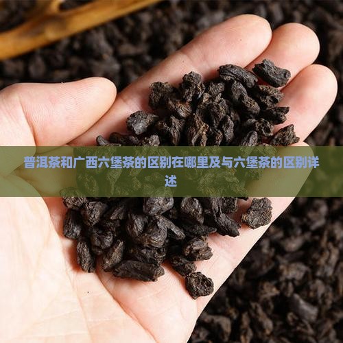 普洱茶和广西六堡茶的区别在哪里及与六堡茶的区别详述