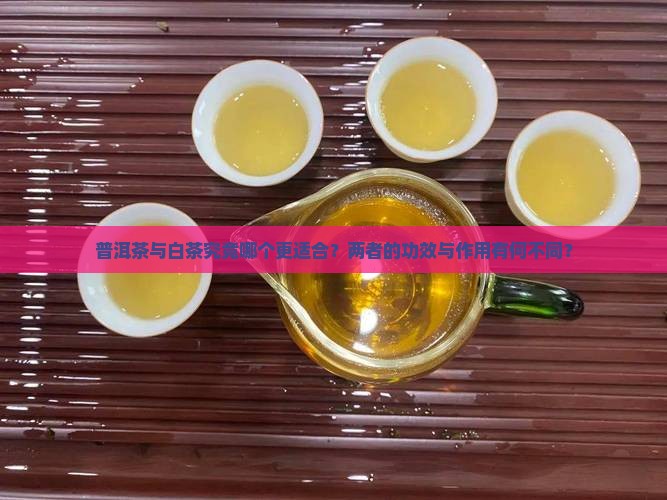 普洱茶与白茶究竟哪个更适合？两者的功效与作用有何不同？