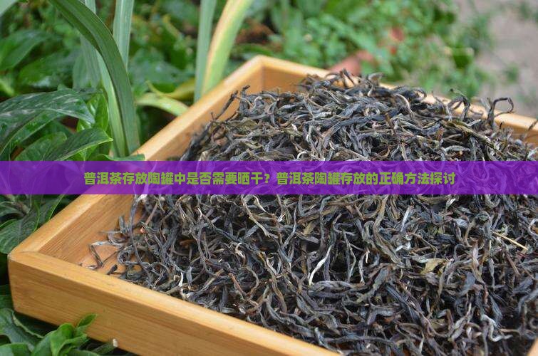 普洱茶存放陶罐中是否需要晒干？普洱茶陶罐存放的正确方法探讨