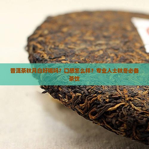 普洱茶秋月白好喝吗？口感怎么样？专业人士秋冬必备茶饮