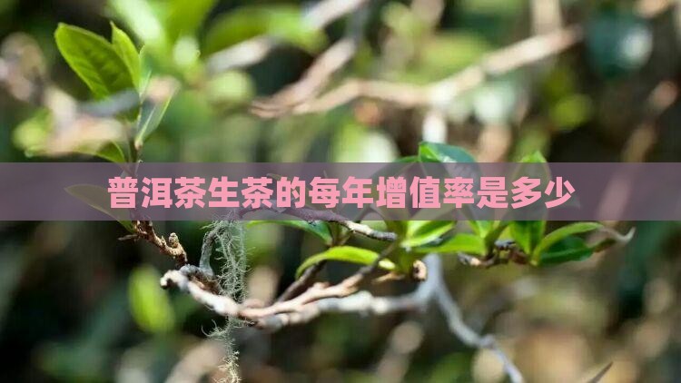 普洱茶生茶的每年增值率是多少 普洱茶生茶的每年增值率是多少