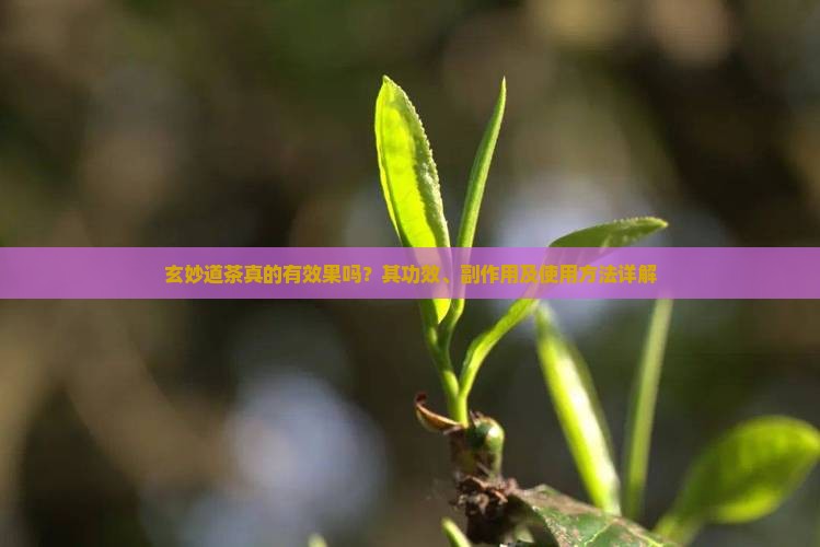 玄妙道茶真的有效果吗?其功效、副作用及使用方法详解 玄妙道茶真的有效果吗?其功效、副作用及使用方法详解