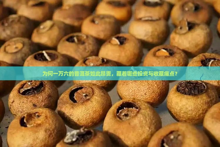 为何一万六的普洱茶如此昂贵,藏着哪些投资与收藏痛点? 为何一万六的普洱茶如此昂贵,藏着哪些投资与收藏痛点?