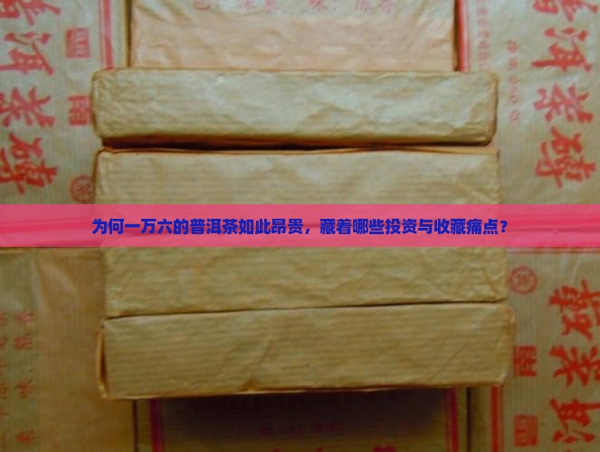 为何一万六的普洱茶如此昂贵,藏着哪些投资与收藏痛点? 为何一万六的普洱茶如此昂贵,藏着哪些投资与收藏痛点?