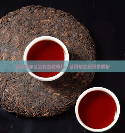 普洱茶怎么会有金花味儿:普洱茶金花现象解析 普洱茶怎么会有金花味儿:普洱茶金花现象解析