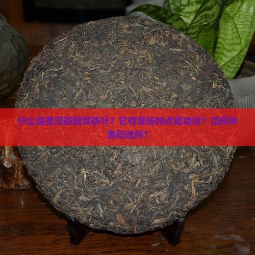 什么是普洱茶银芽茶叶？它有哪些特点和功效？如何冲泡和选购？