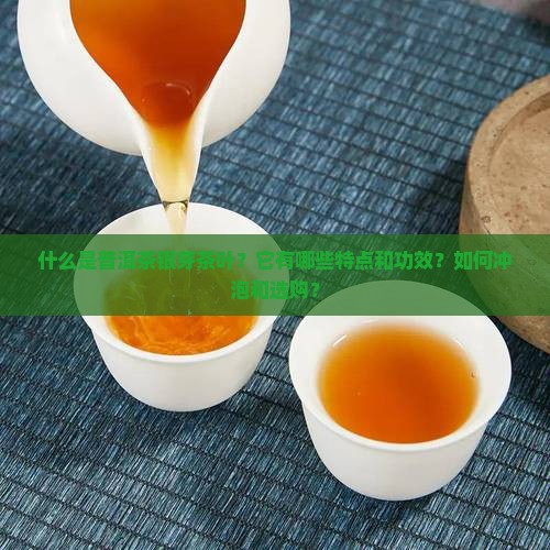 什么是普洱茶银芽茶叶？它有哪些特点和功效？如何冲泡和选购？