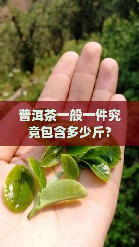 普洱茶一般一件究竟包含多少斤？