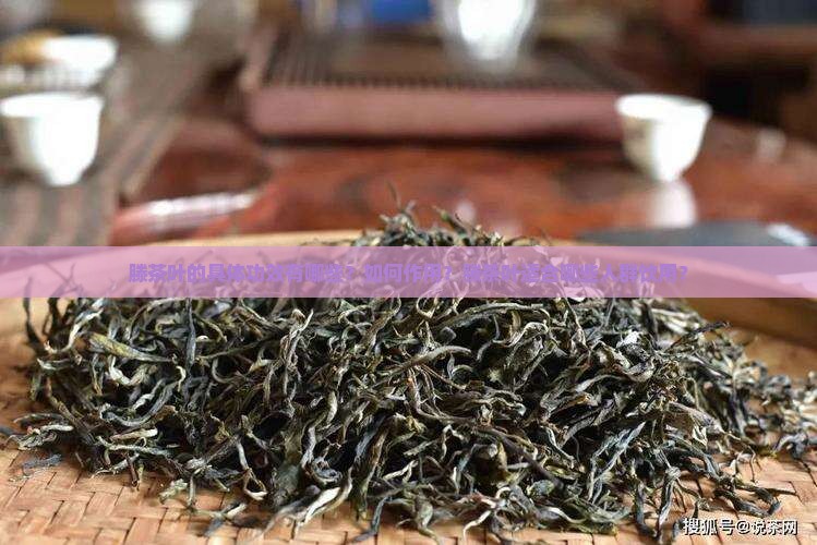 滕茶叶的具体功效有哪些？如何作用？滕茶叶适合哪些人群饮用？