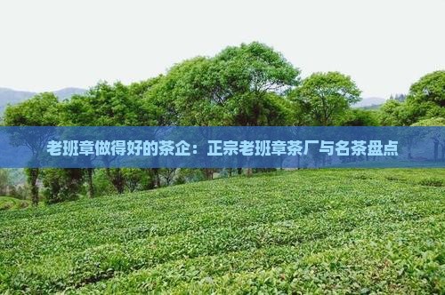 老班章做得好的茶企：正宗老班章茶厂与名茶盘点