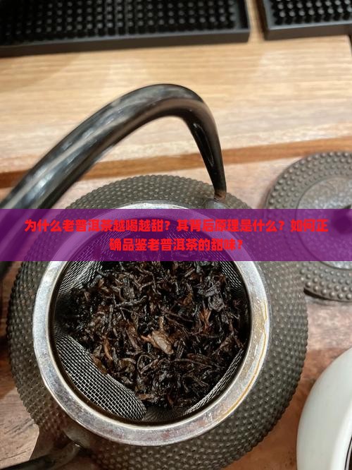 为什么老普洱茶越喝越甜？其背后原理是什么？如何正确品鉴老普洱茶的甜味？