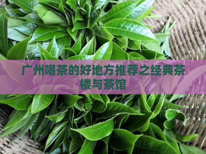 广州喝茶的好地方推荐之经典茶楼与茶馆